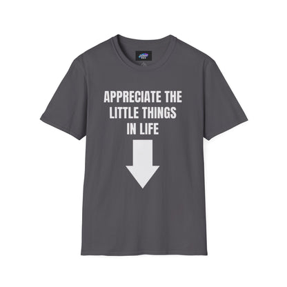 Appreciate the Little Things T‑Shirt — Casual Inspirational Tee with Down Arrow