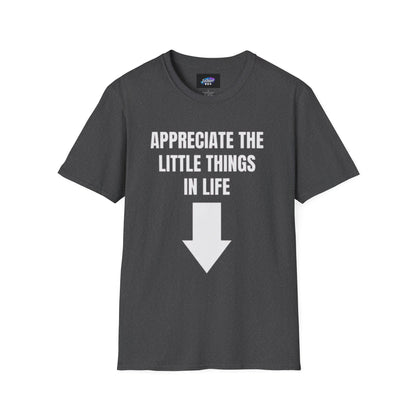 Appreciate the Little Things T‑Shirt — Casual Inspirational Tee with Down Arrow
