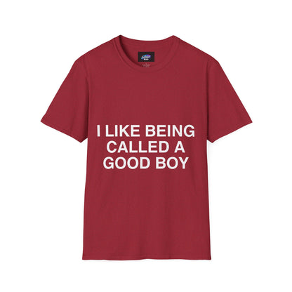 I Like Being Called A Good Boy T-Shirt