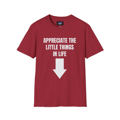Appreciate the Little Things T‑Shirt — Casual Inspirational Tee with Down Arrow