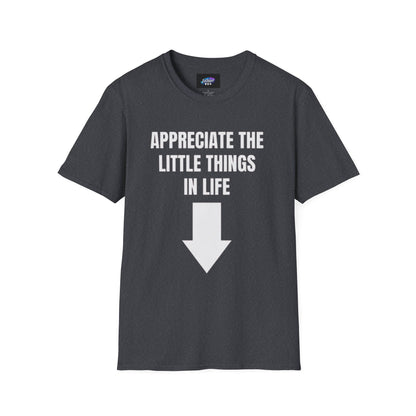 Appreciate the Little Things T‑Shirt — Casual Inspirational Tee with Down Arrow